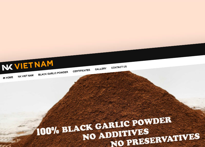 Thiet ke web NK Viet Nam